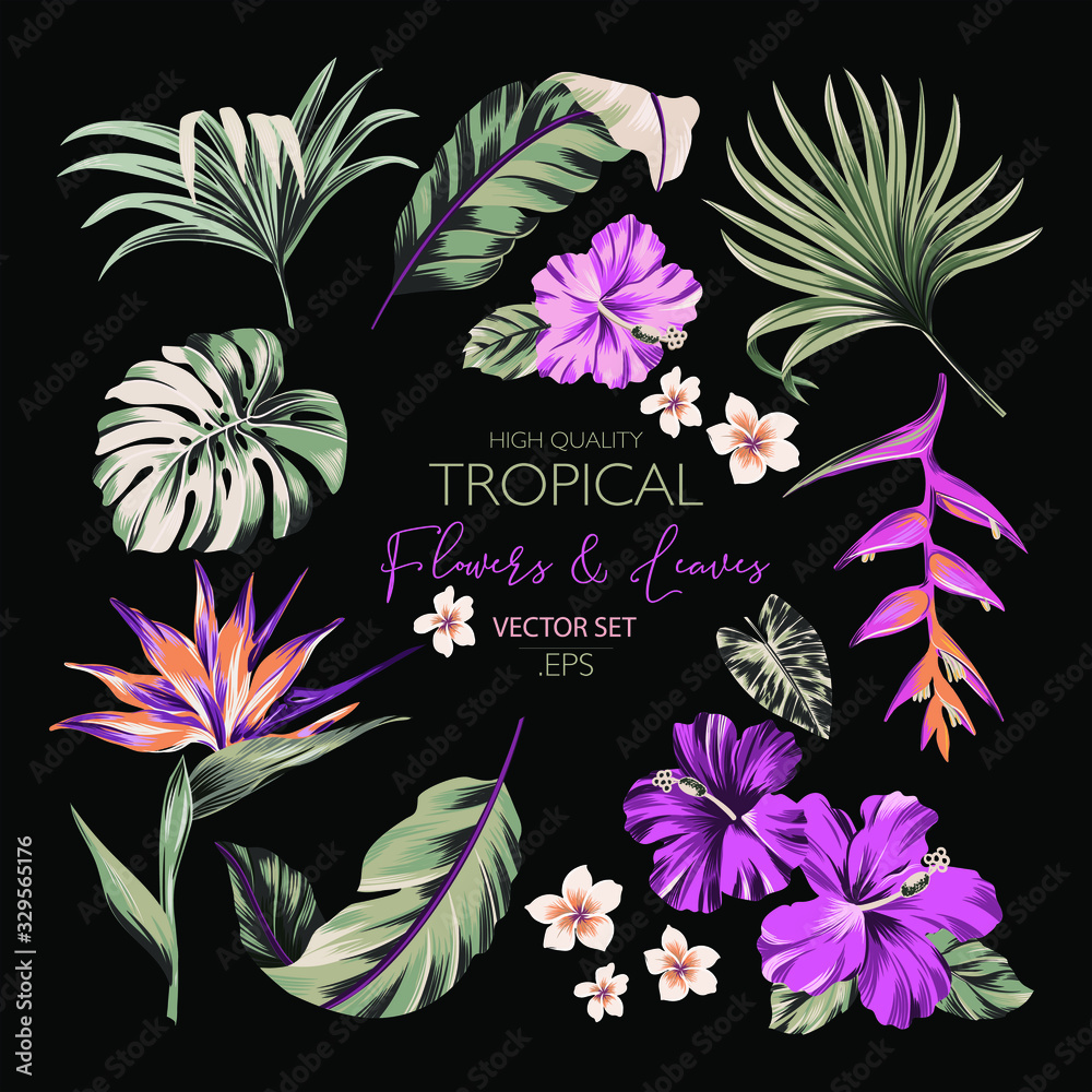 Set of exotic tropical flowers and palm leaves in trend colors artwork for  tattoo, fabrics, souvenirs, packaging, greeting cards and scrapbooking  Stock Vector | Adobe Stock