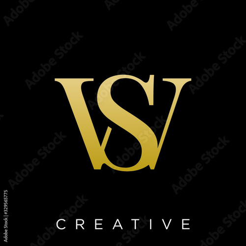 ws logo design photo