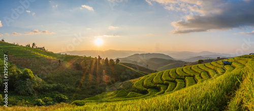 Konstfotografi Rice fields Before harvesting sunset Farmer's house Terraced rice paddy field in Chiang Mai, Thailand