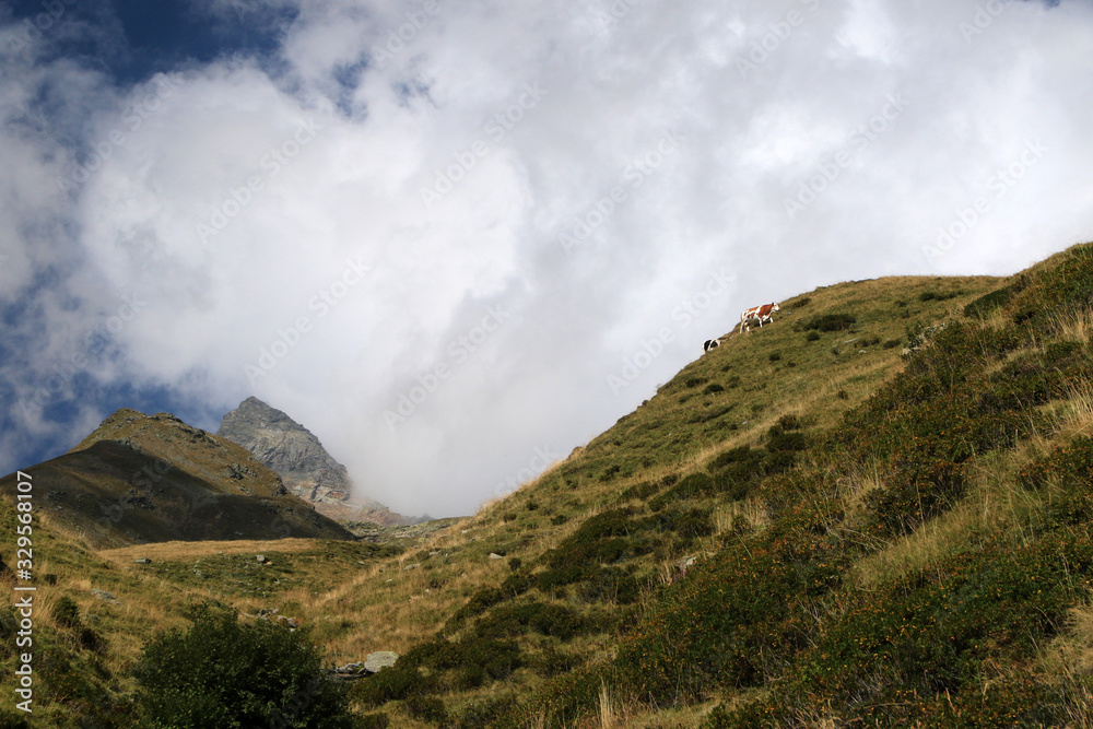 Landscape of Italian Alps in Madesimo region, Lombardy, Italy Landscape of Italian Alps in Madesimo region, Lombardy, Italy
