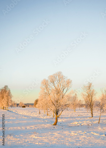 Winter landscape field 