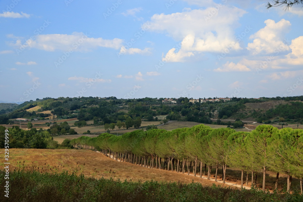 Landscape of Tuscany near Coneo area, Italy