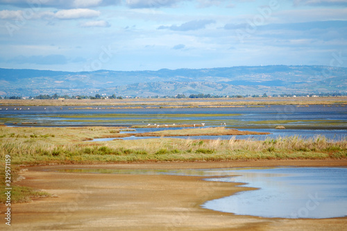 Riserva Diaccia Botrona