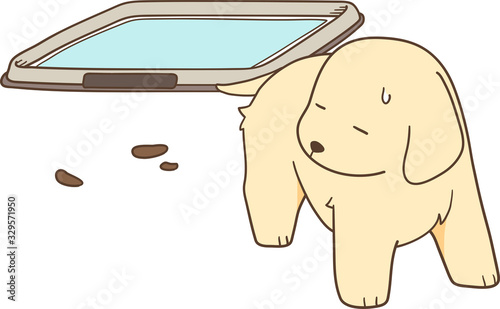 ゴールデンレトリバーの子犬（トイレを失敗する）