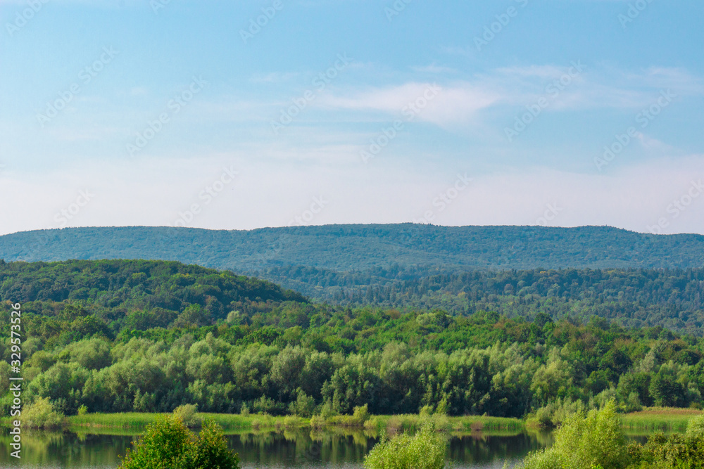 Natural view on a rural pond and a green forest. Clear blue sky background