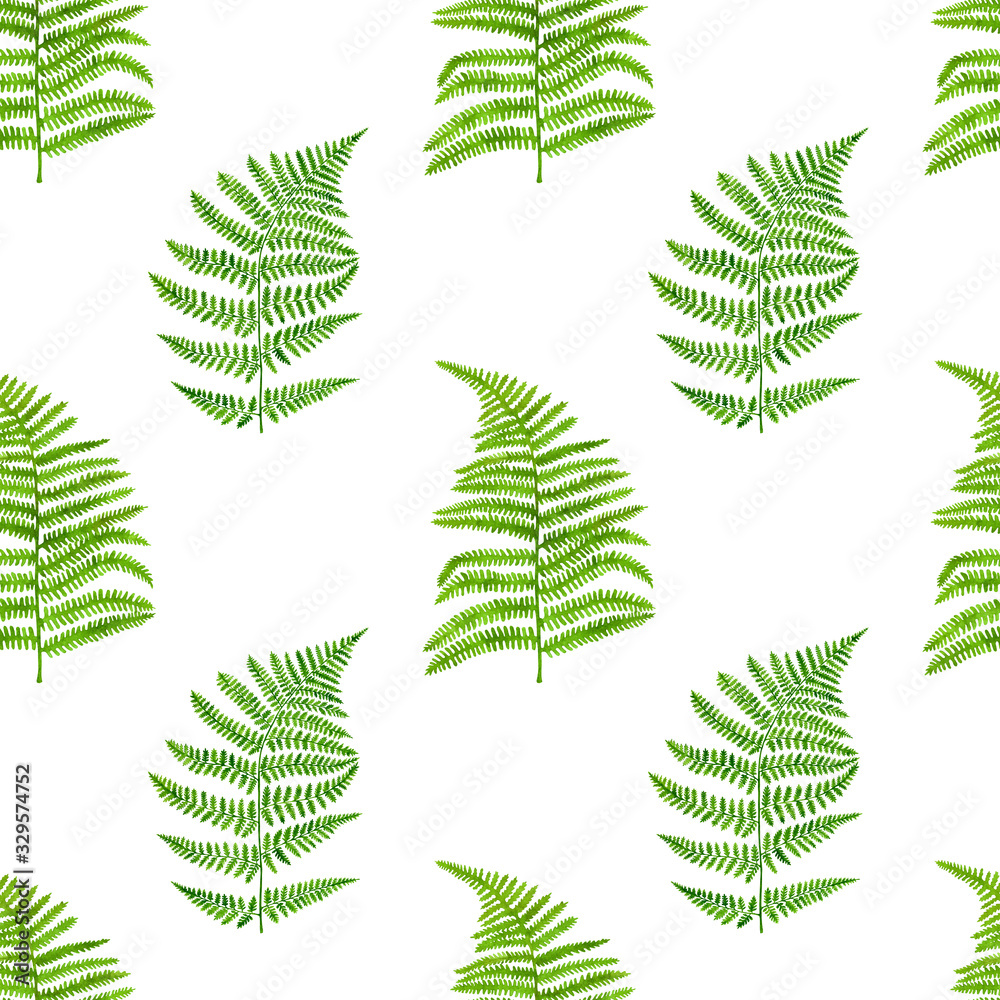 Watercolor green fern leaves seamless pattern. Hand painted forest plant Polypodiopsida texture isolated on white background. Realistic illustration for decoration, invitations, textile, wrapping.