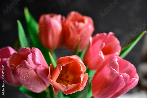 Bouquet of tulips  flowers on a dark background. Beautiful pink tulips. background of flowers. Spring background.