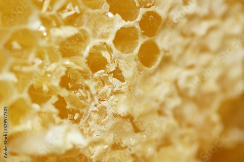 Honeycomb with liquid honey