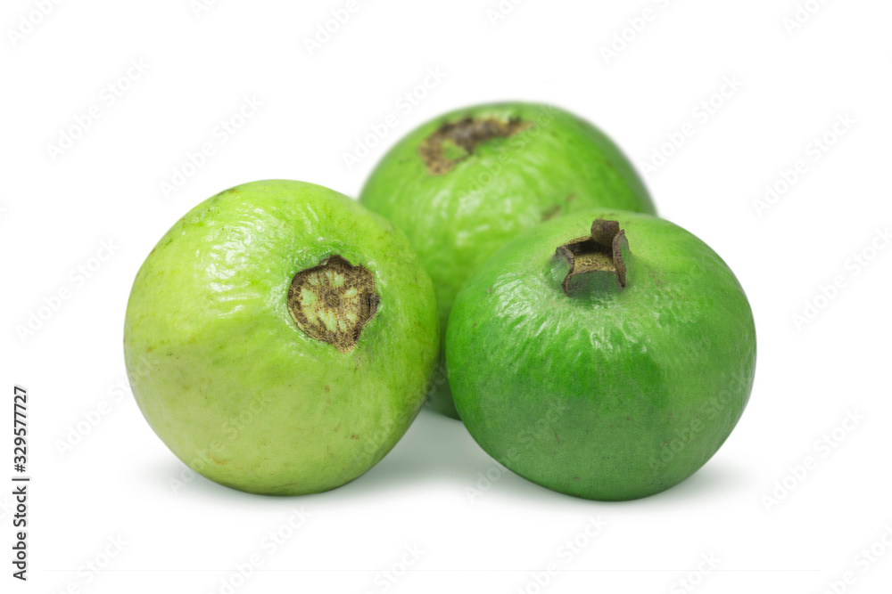 fresh green guava fruit on white background fresh green guava fruit on white background