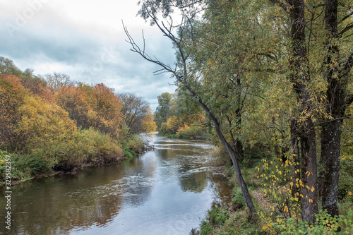 Fototapeta Naklejka Na Ścianę i Meble -  Dead tree on the river in autumn