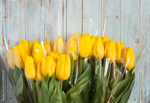 Background with flowers. Tulips in a bouquet white and yellow on a wooden blue background. Gifts for International Women s Day  birthday  mother s day. Greeting card with flowers and place for text.