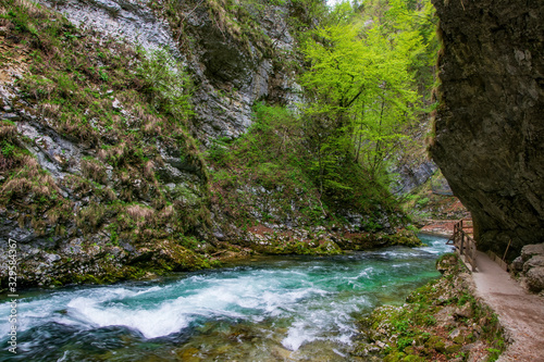 Mountain stream flowing through Vintgar gorge  Slovenia