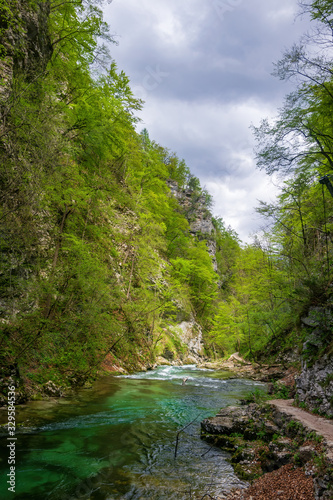 Vintgar gorge  beauty of nature  with river Radovna flowing through it  Triglav National park  Slovenia