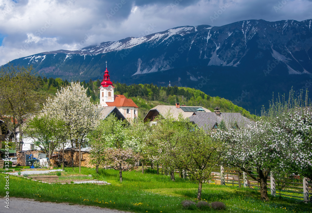 Picturesque view of Zasip village, Slovenia near famous Bled Lake at spring sunny day