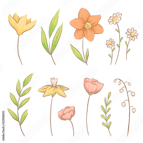 Set of different spring flowers and herbs. Crocuses, daisies and lilies of the valley. Imitation of watercolor handmade
