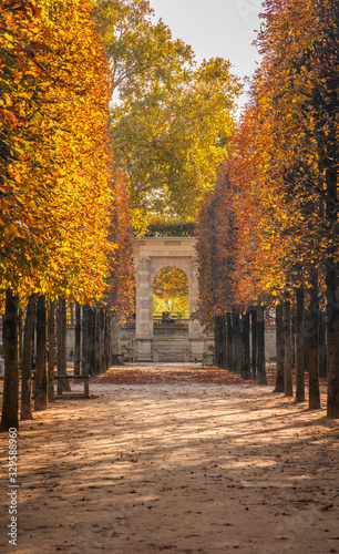 Alley of the Jardin des Tuileries covered with orange autumn leaves  Tuileries garden in Paris France on a beautiful Fall day