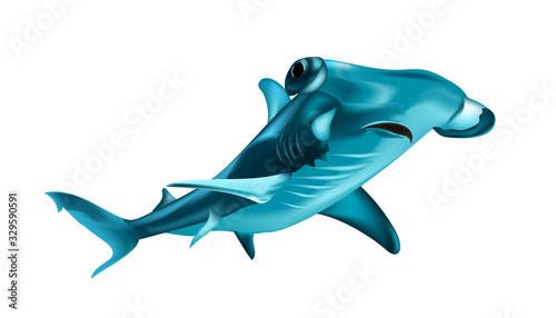 Sea dweller on white background. Hammer fish. wall stickers