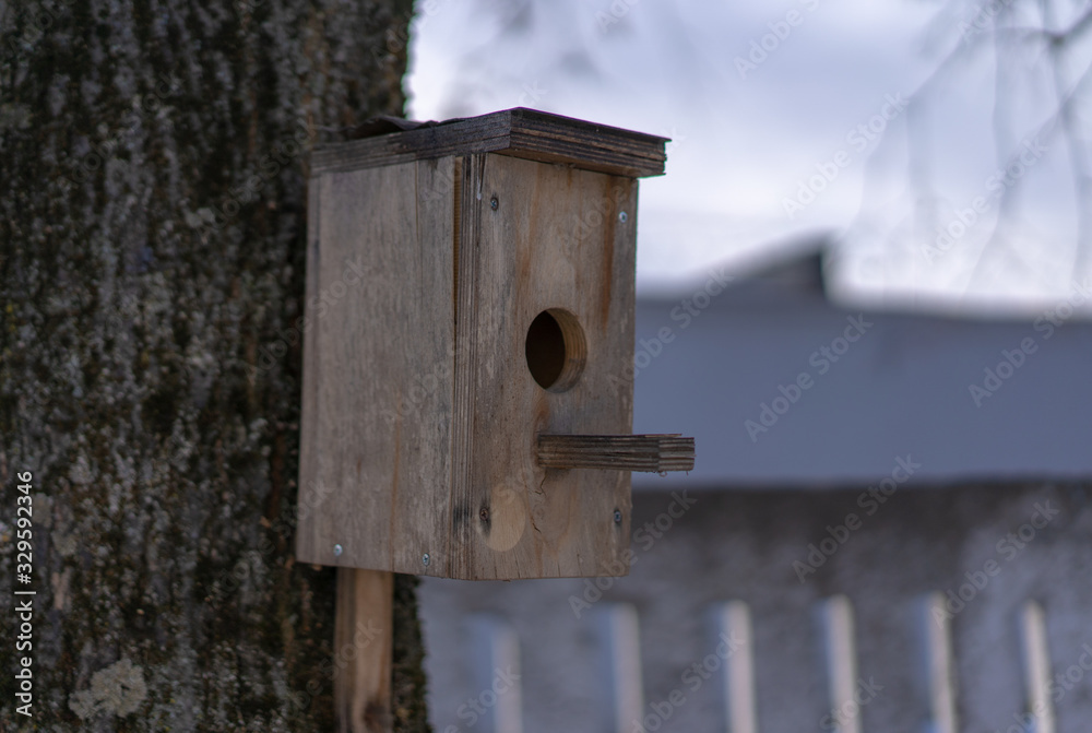 Birdhouse for birds mounted on a tree