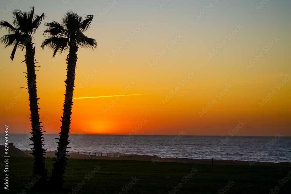Romantic sunset over the sea in Rabat Morocco with palm trees, atlantic ocean, color gradient over the horizon, dream destination, tropical island, summer travel, tourism