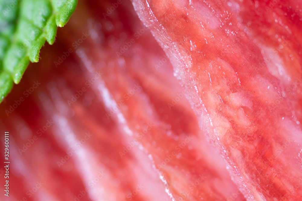 Slices of salami smoked sausage with a mint leaf macro Slices of salami smoked sausage with a mint leaf macro