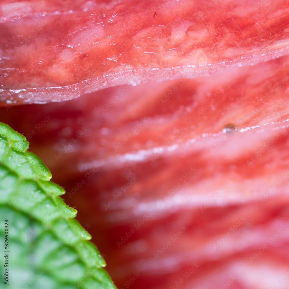Slices of salami smoked sausage with a mint leaf macro Slices of salami smoked sausage with a mint leaf macro