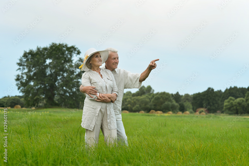 Happy senior couple in summer park pointing Happy senior couple in summer park pointing