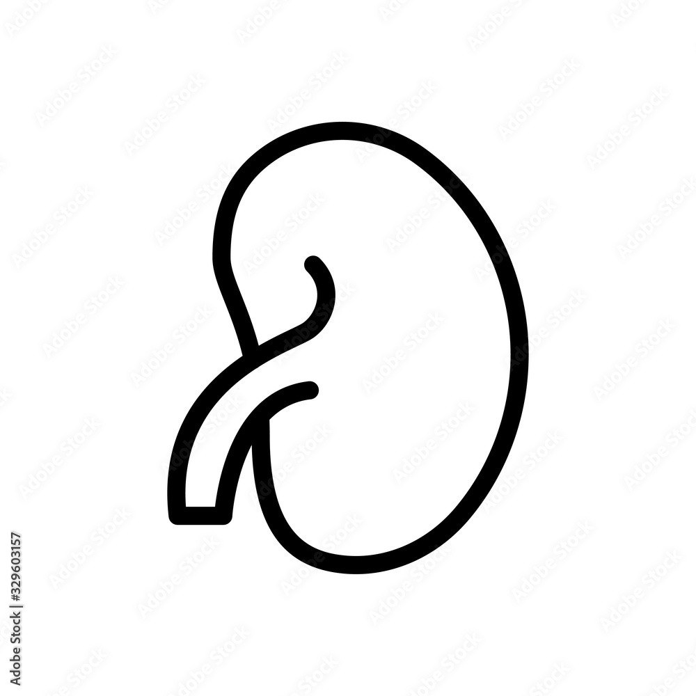 urology urology