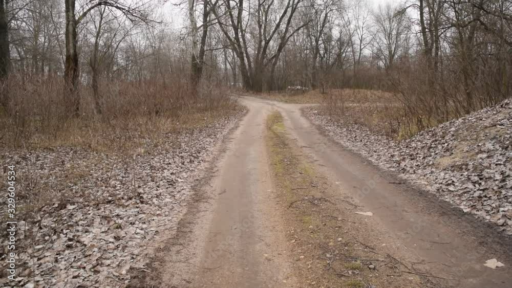 View of the road between dry plants and nature View of the road between dry plants and nature