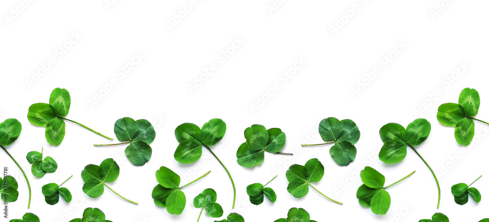Obraz premium Green clover, the symbol of the holiday St. patrick's day. Pattern of clover leaves isolated on white background, top view, flat lay.