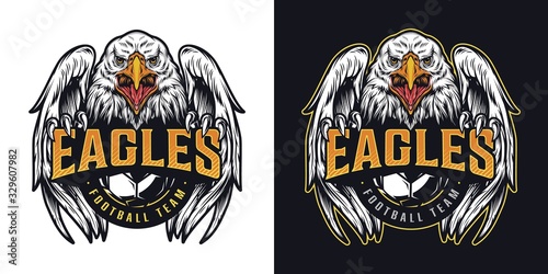 Football team vintage colorful logotype