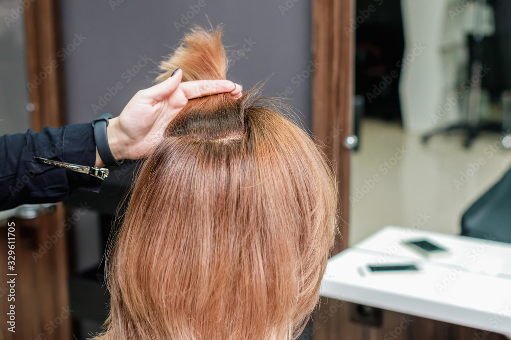 Fototapeta premium Styling hair of woman.