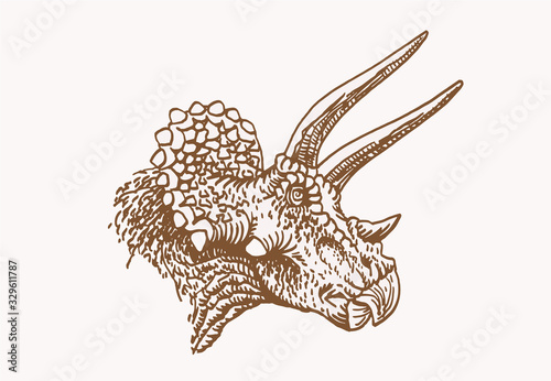 Vintage portrait of triceratops ,sepia illustration