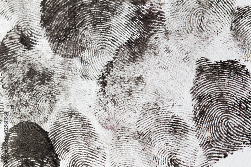 fingerprints on a white background photo