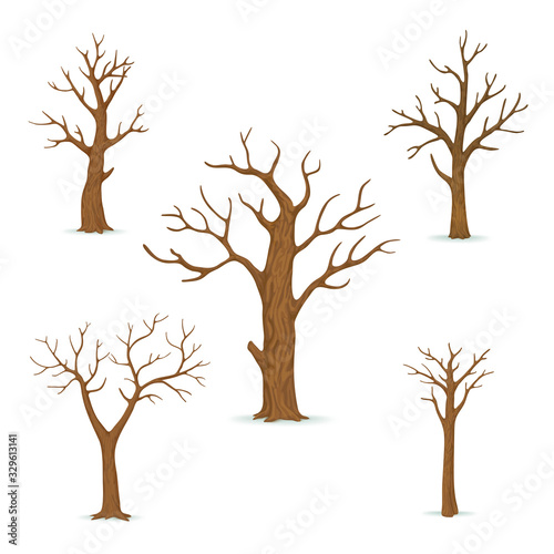 Set of bare, leafless trees with empty branches isolated on a white background. Vector winter, autumn icon. © Tatiana Zhzhenova