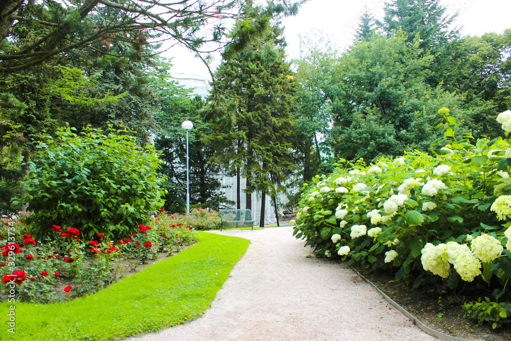 City park with flowers on a sunny day. Blooming colorful flower beds in a city park in summer. Beautiful natural gardening concept. Nature concept.