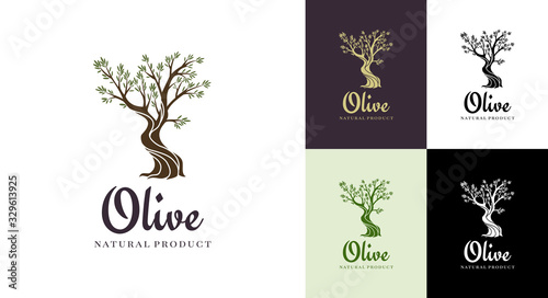 Elegant olive tree isolated icon. Creative olive tree silhouette. Logo design used for advertising products premium quality