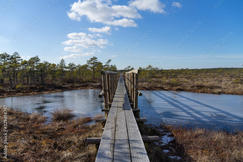 Naklejka premium Wooden pathway bridge over frozen bog lake. Early spring. Ice reflects the bright blue sky, white clouds and bonsai size pine trees. Endla Nature reserve to protect vulnerable environment.