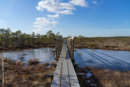 Wooden pathway bridge over frozen bog lake. Early spring. Ice reflects the bright blue sky  white clouds and  bonsai size pine trees. Endla Nature reserve to protect vulnerable environment.