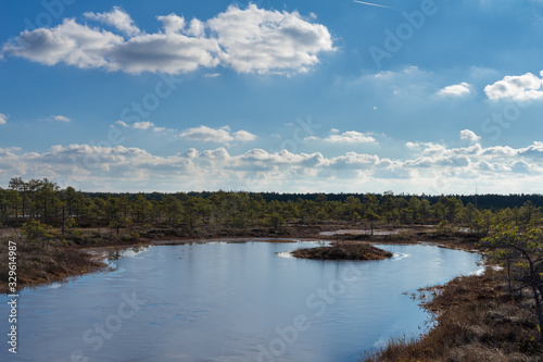 Fototapeta Naklejka Na Ścianę i Meble -  Raised bog in early spring, some pools are still frozen, some are already open and reflect the sky and bonsai size pine trees. Bright day with blue sky and white clouds.