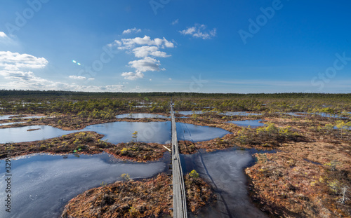 Aerial view, raised bog in early spring, some pools are still frozen, some are already open and reflect the sky and bonsai size pine trees. Bright day, blue sky and white clouds. Endla Nature reserve. photo