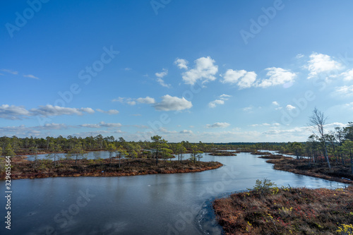 Raised bog in early spring, some pools are still frozen, some are already open and reflect the sky and bonsai size pine trees. Bright day with blue sky and white clouds.