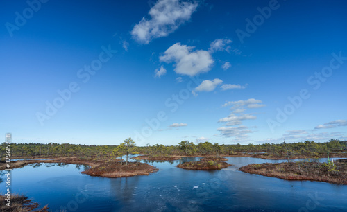 Raised bog in early spring, some pools are still frozen, some are already open and reflect the sky and bonsai size pine trees. Bright day with blue sky and white clouds.