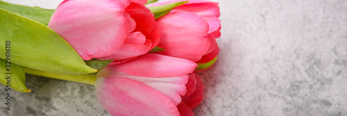 Fototapeta Naklejka Na Ścianę i Meble -  Tulips are bright, fresh, pink on a light gray background close-up.