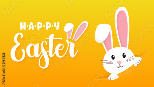 Easter rabbit, easter Bunny. Vector illustration.