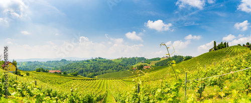 Sulztal, Styria Austria - 2 June 2018: Vineyards Leibnitz area famous destination wine street area south Styria , wine country in summer. Tourist destination. Green hills and crops of grapes.