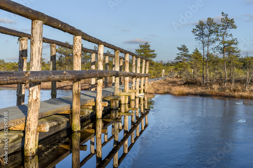 Wallpaper Mural Wooden pathway bridge over frozen bog lake. Early spring. Ice and water reflect the construction and blue sky. Bbonsai size pine trees. Endla Nature reserve to protect vulnerable environment. Torontodigital.ca