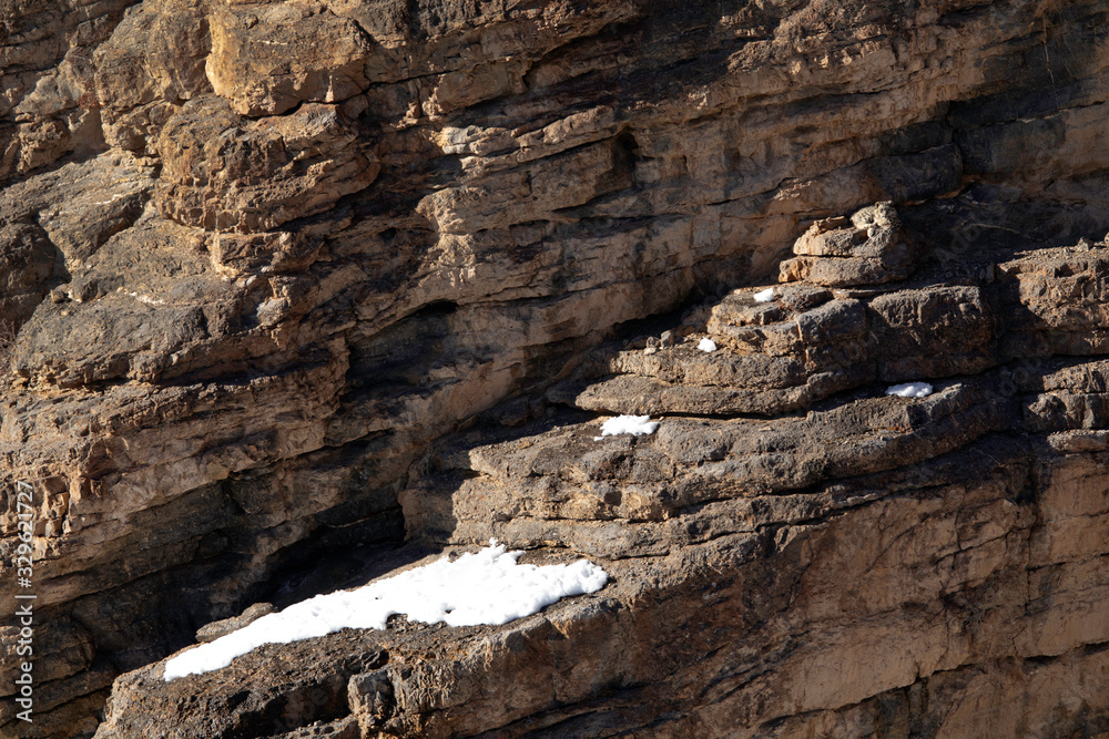 Snow leopards Cubs resting on the cliff near Kibber village, Spiti valley of Himachal Pradesh, India