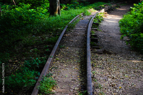 railway in the forest