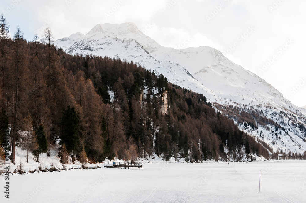 Fototapeta premium Sils, Silsersee, Langlauf, Langlaufloipe, Maloja, Malojawind, Piz da la Margna, Seeufer, Winter, Wintersport, Winterwanderung, Abendstimmung, Oberengadin, Alpen, Graubünden, Schweiz