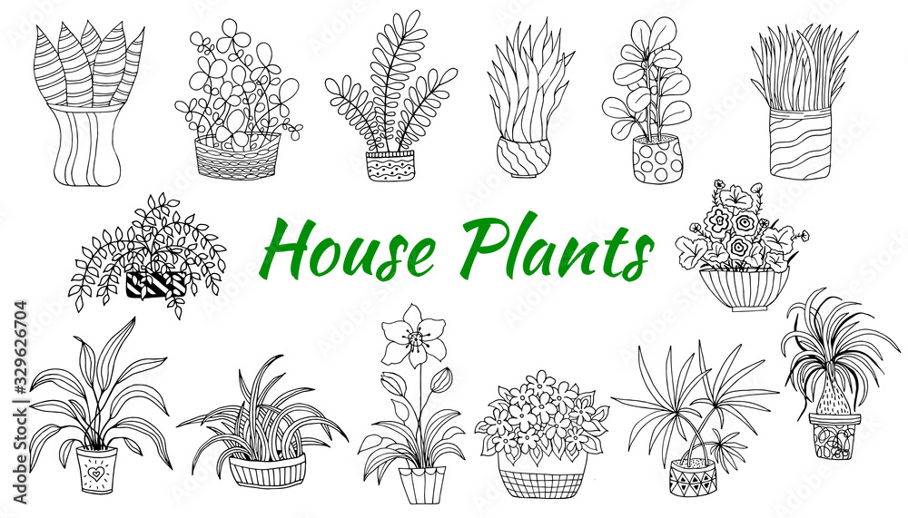 Cute hand drawn set of flowers pots. Doodle vector illustration house ...